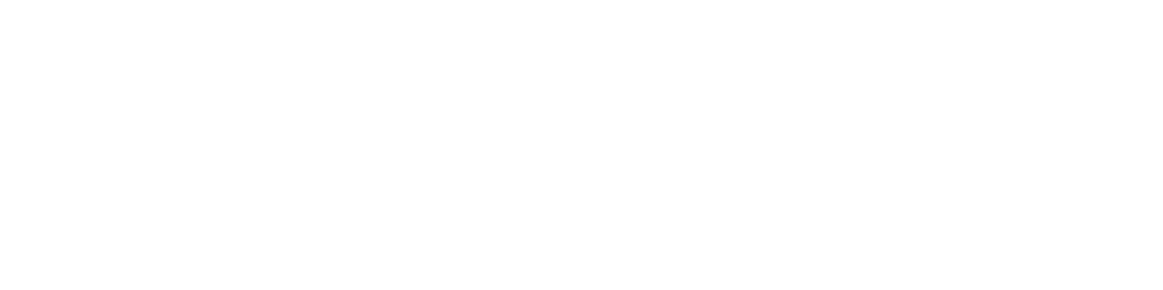 Syntizen logo